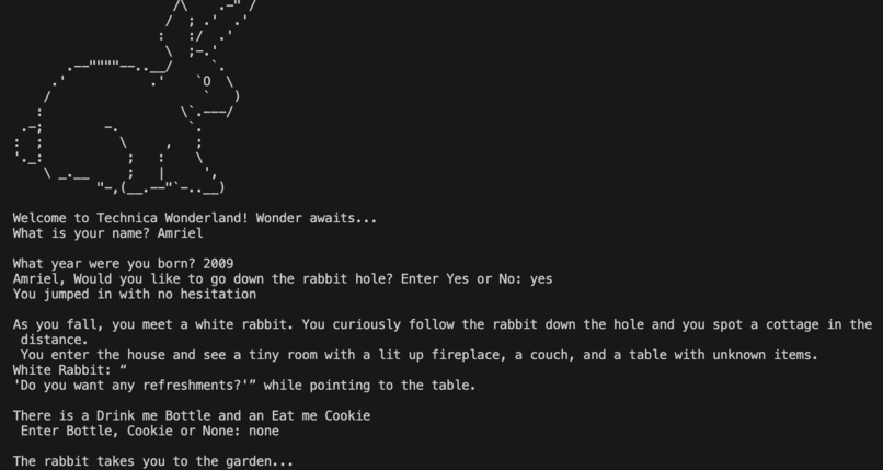Survive Wonderland – screenshot 1