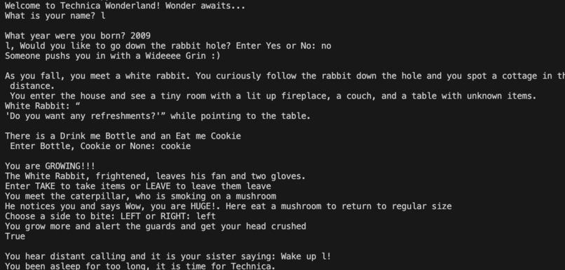 Survive Wonderland – screenshot 4