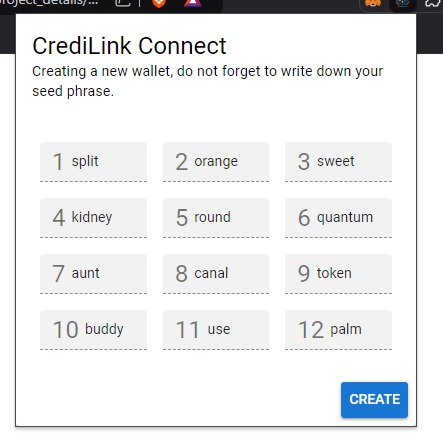 CrediLink connect – screenshot 2