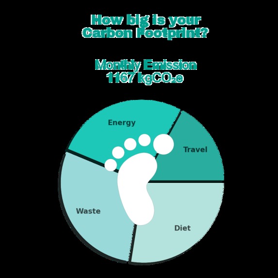 Carbon Footprint  – screenshot 3