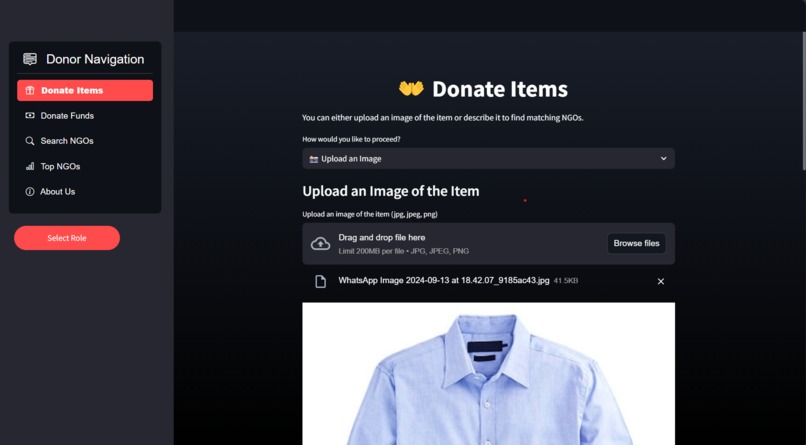 NexusNGO – screenshot 2