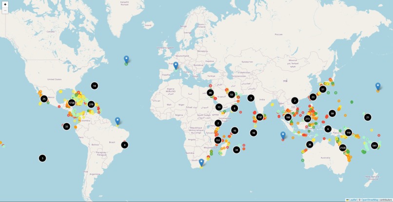 Coralized – screenshot 2