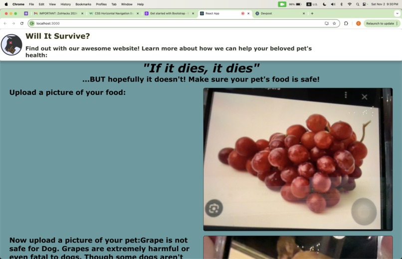 Will It Survive – screenshot 1