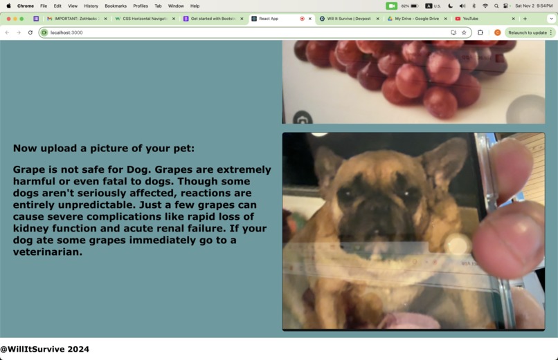 Will It Survive – screenshot 2