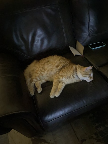 VR pitch – screenshot 1