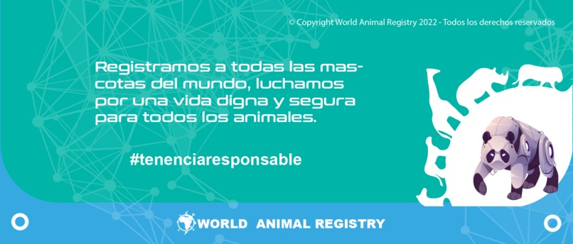 World Animal registry – screenshot 2