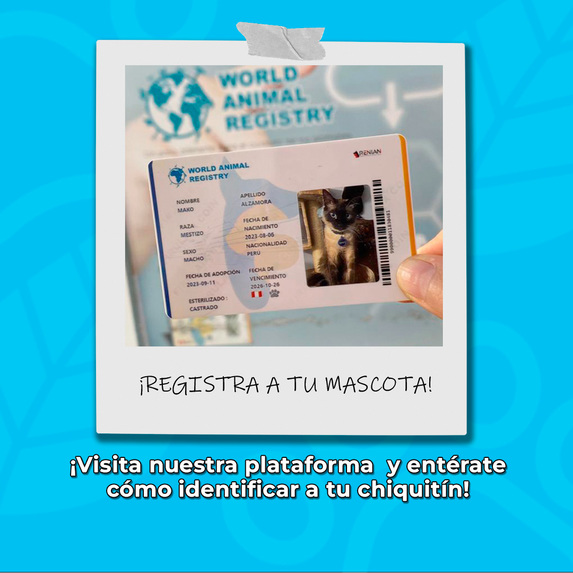 World Animal registry – screenshot 3