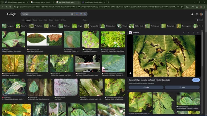 Farm-AI – screenshot 3