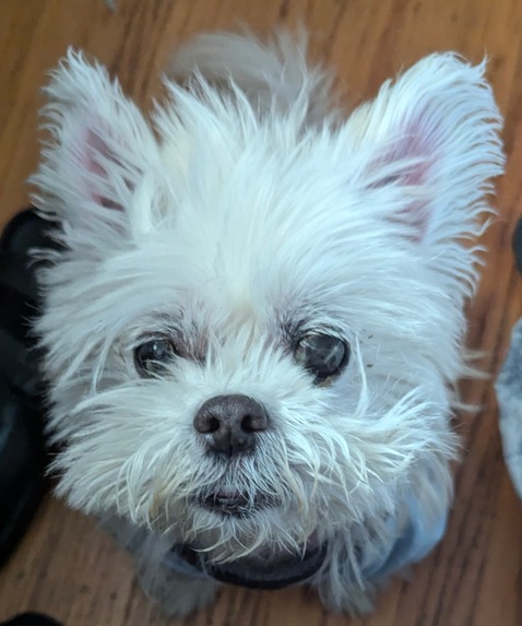 API SR-71 – screenshot 1