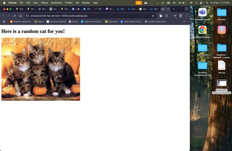 Random Cat picture generator – screenshot 1