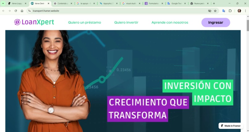LOANXPERT – screenshot 1