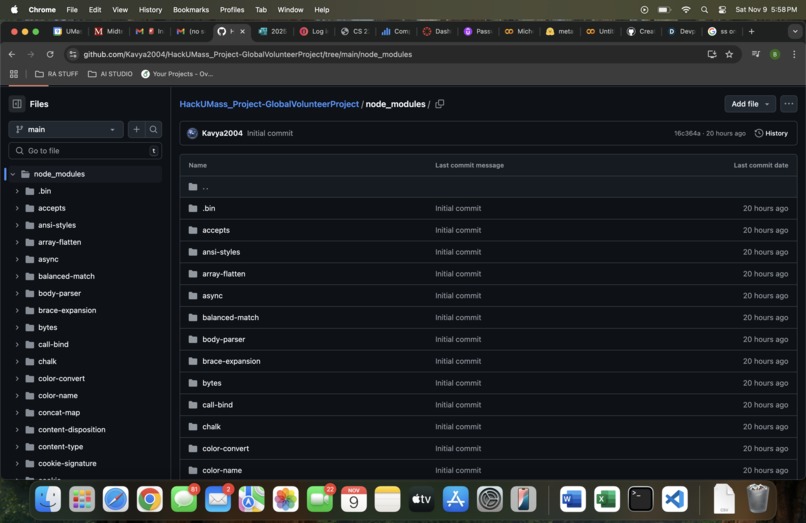 Global Volunteer Tracker – screenshot 1