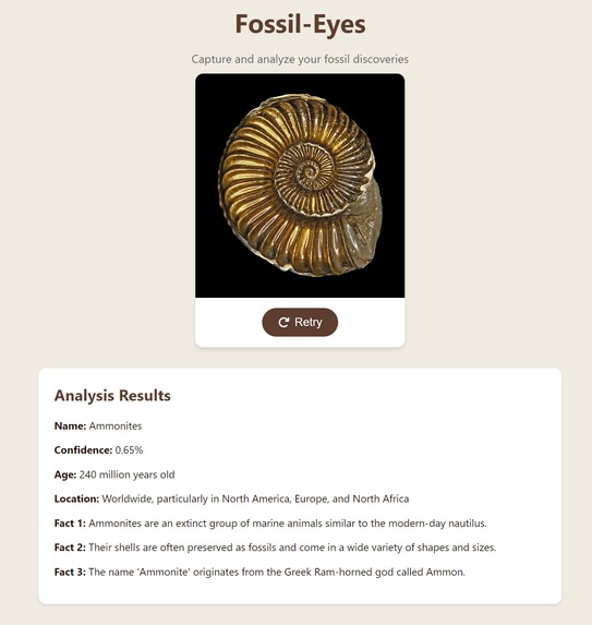 Fossil-Eyes – screenshot 1