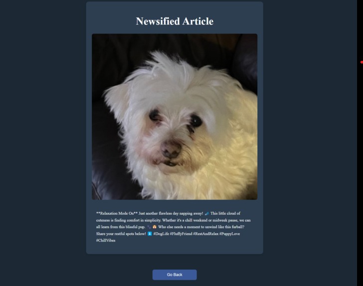 Newsify - AIPhotoJournalist – screenshot 2