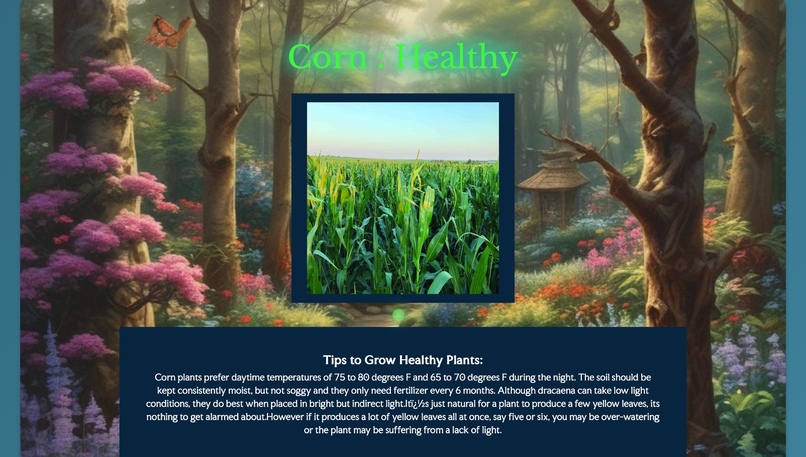 WonderGaze - Plant Disease Detection System – screenshot 3
