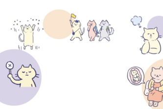 Abortion Healthcare Resources