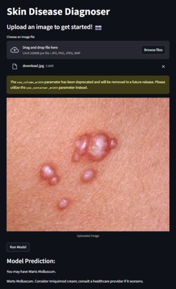 Diagnosis AI – screenshot 1