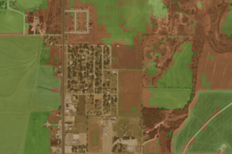 Cropland Segmentation Using CNNs and Google Earth Engine