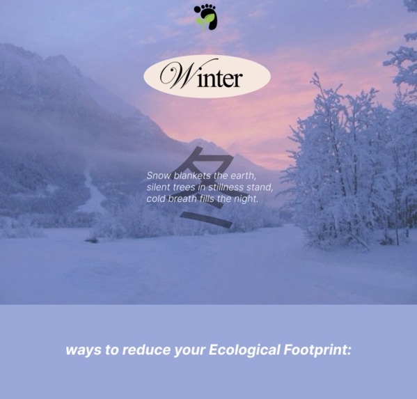 4 Seasons of Sustainable Living – screenshot 2