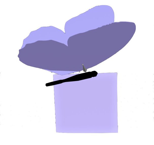 FLAP – screenshot 2