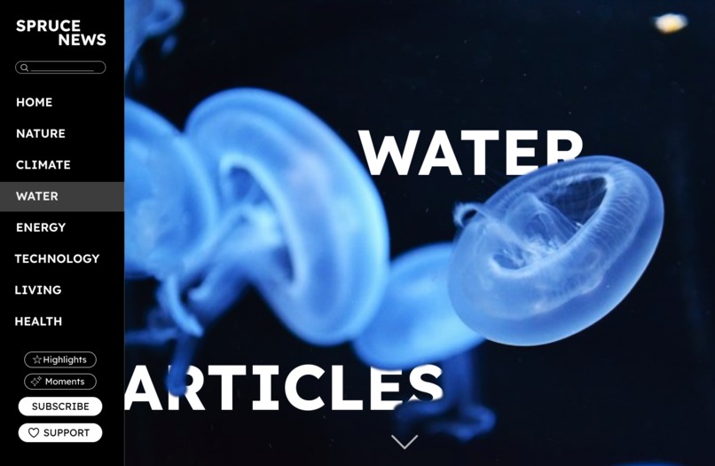 Spruce News – screenshot 4