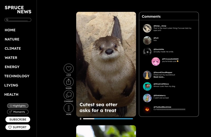 Spruce News – screenshot 7