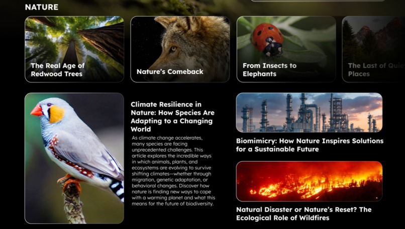 Spruce News – screenshot 2