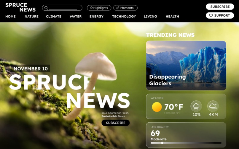 Spruce News – screenshot 1
