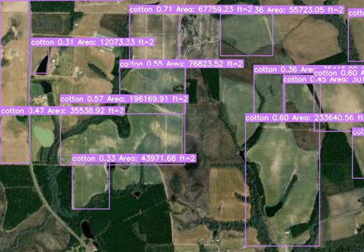 Cotton Field Detector – screenshot 1