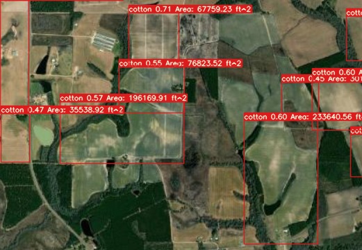Cotton Field Detector – screenshot 2
