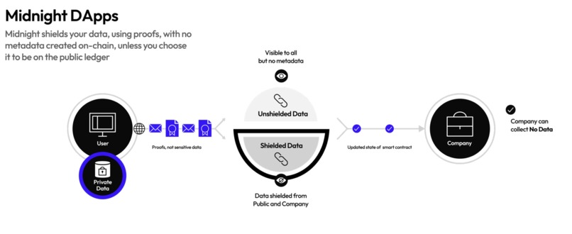 Silent Vote – screenshot 3