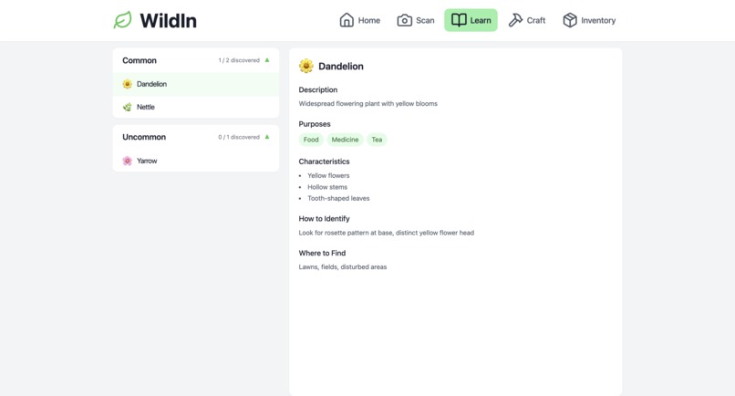Wild-In – screenshot 1