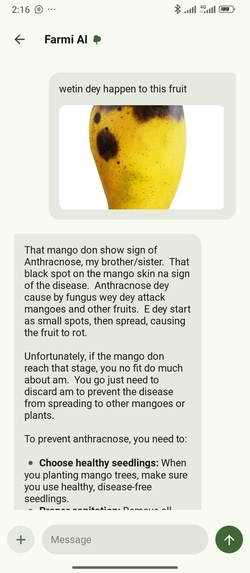 Farmi AI – screenshot 4