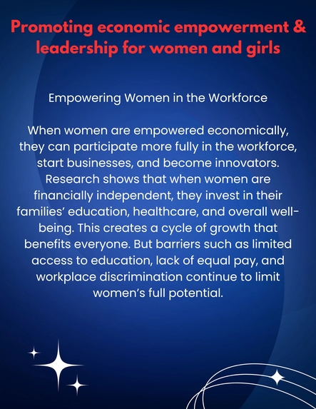 Promoting economic empowerment for women  – screenshot 4