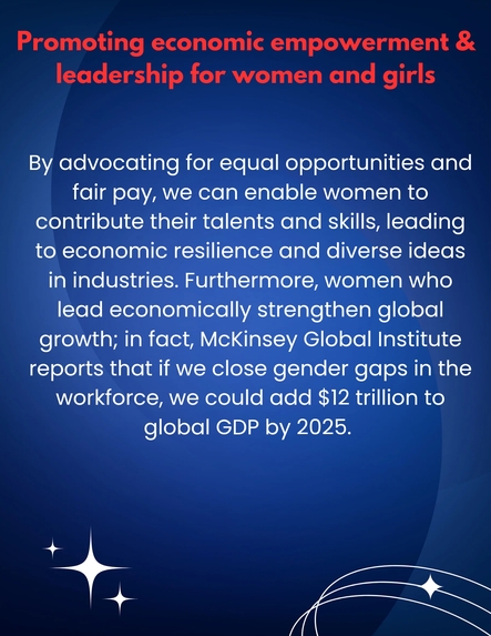 Promoting economic empowerment for women  – screenshot 3