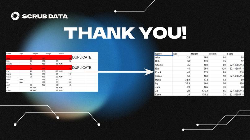 ScrubData - Automated Data Cleaning – screenshot 8