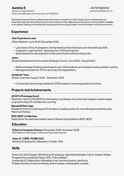 Professional Resume – screenshot 1