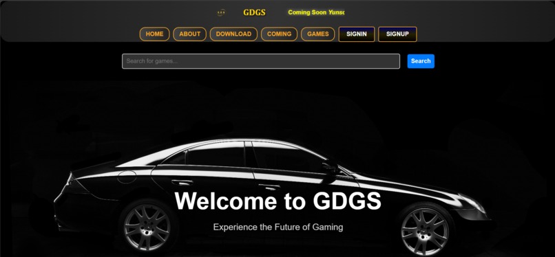 GDGS GAMES – screenshot 2