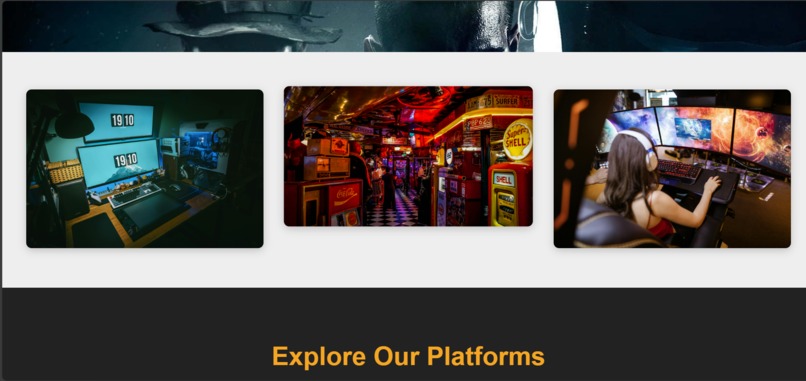 GDGS GAMES – screenshot 3