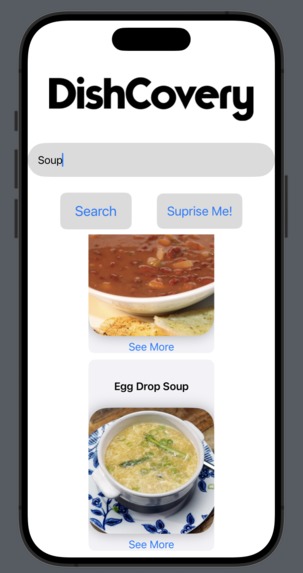 DishCovery – screenshot 3