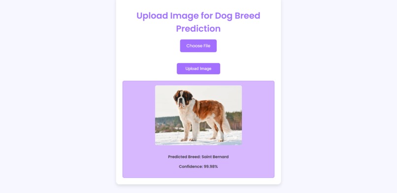 PetLive-40 – screenshot 7