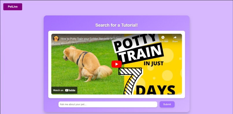 PetLive-40 – screenshot 8