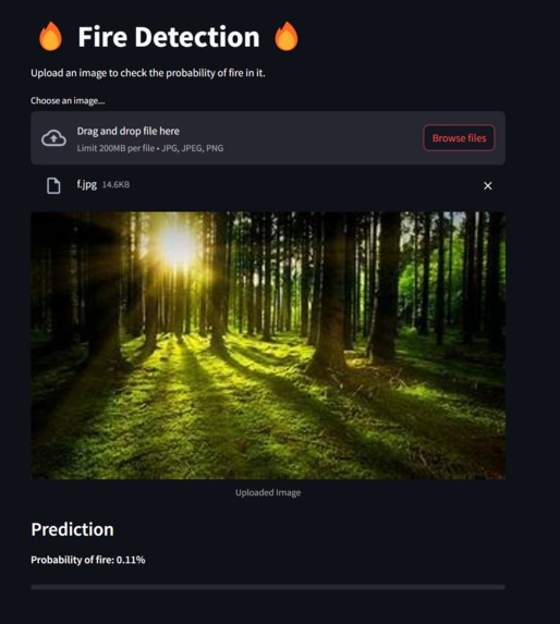 FIREFLY SYSTEMS – screenshot 3
