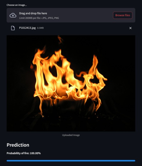 FIREFLY SYSTEMS – screenshot 6