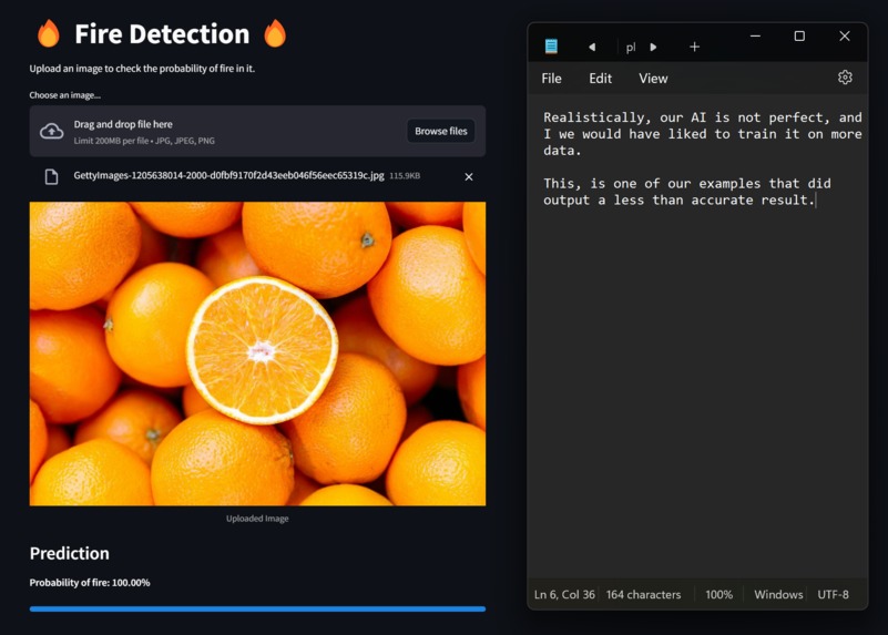 FIREFLY SYSTEMS – screenshot 7