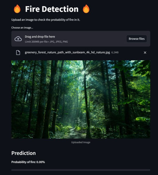 FIREFLY SYSTEMS – screenshot 5