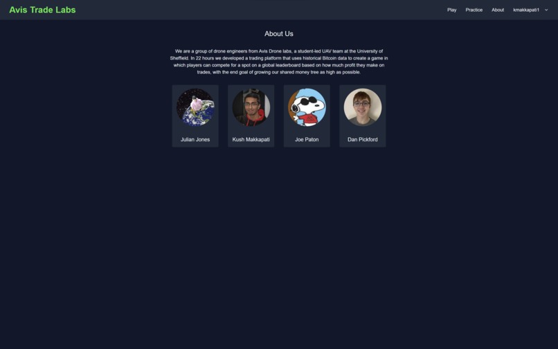 Avis Trade Labs – screenshot 4