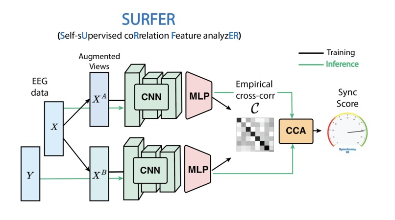 WaveLink: a Brain to Brain Dashboard for Neural Synchrony – screenshot 1