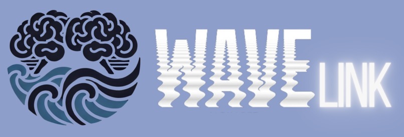 WaveLink: a Brain to Brain Dashboard for Neural Synchrony – screenshot 2