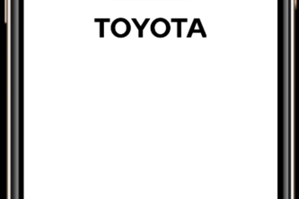 Toyota EcoGauge